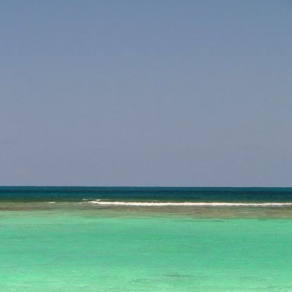 Meet your Posher, Mara